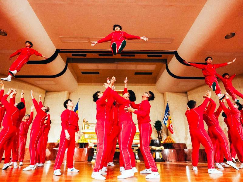 immagine di copertina